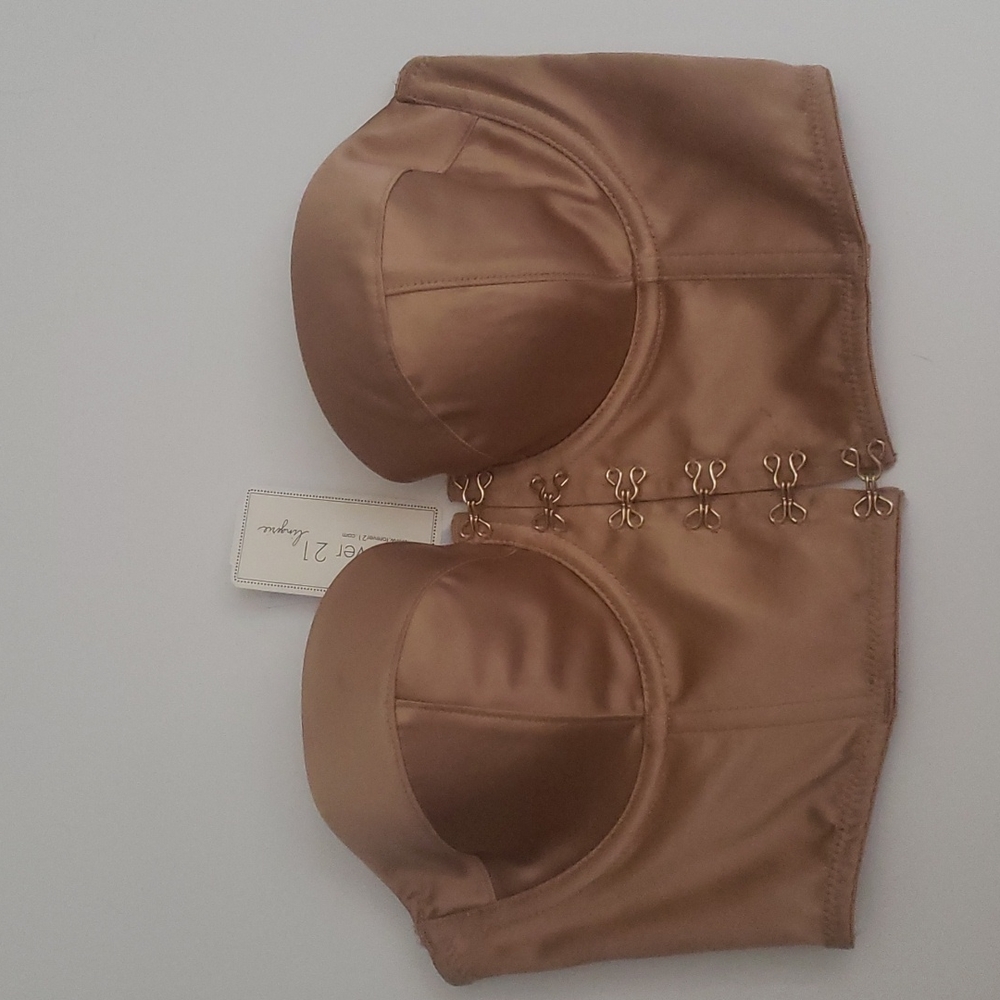 Bronze Bustier Top